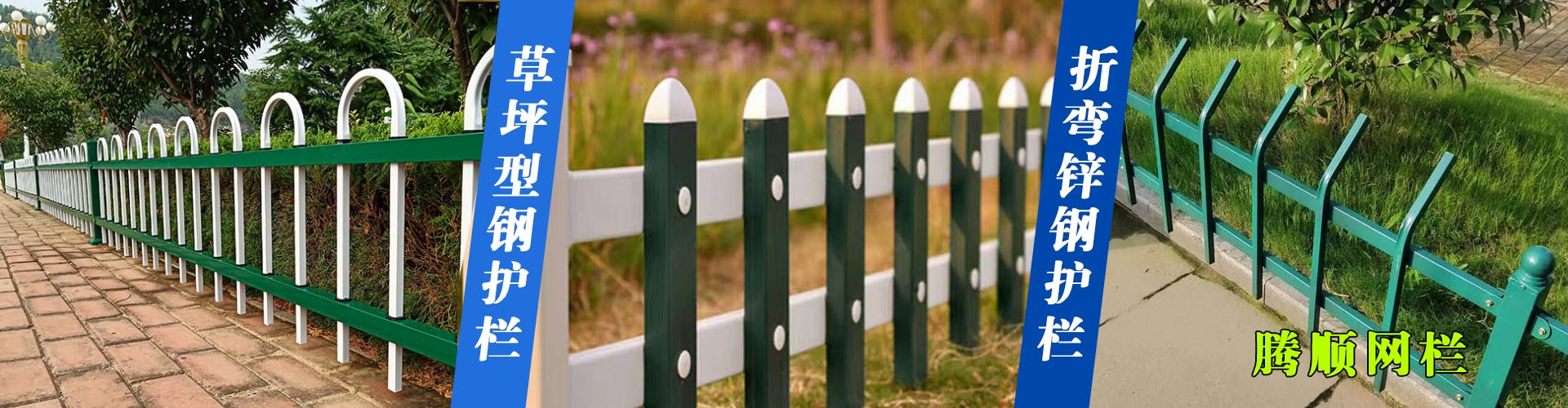 �o�ھW���a�S��