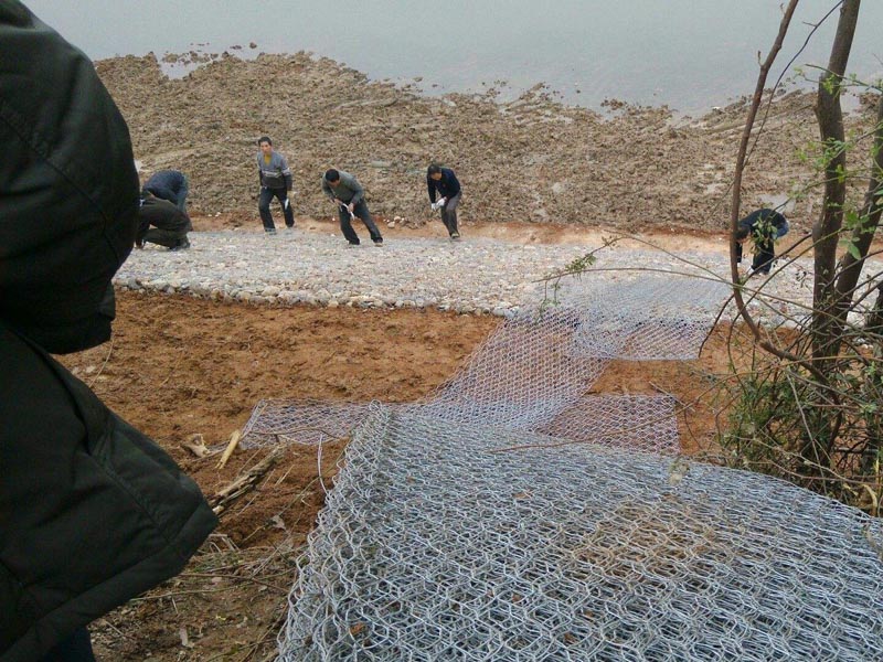 �v�ʯ�\�W(w��ng)�D��